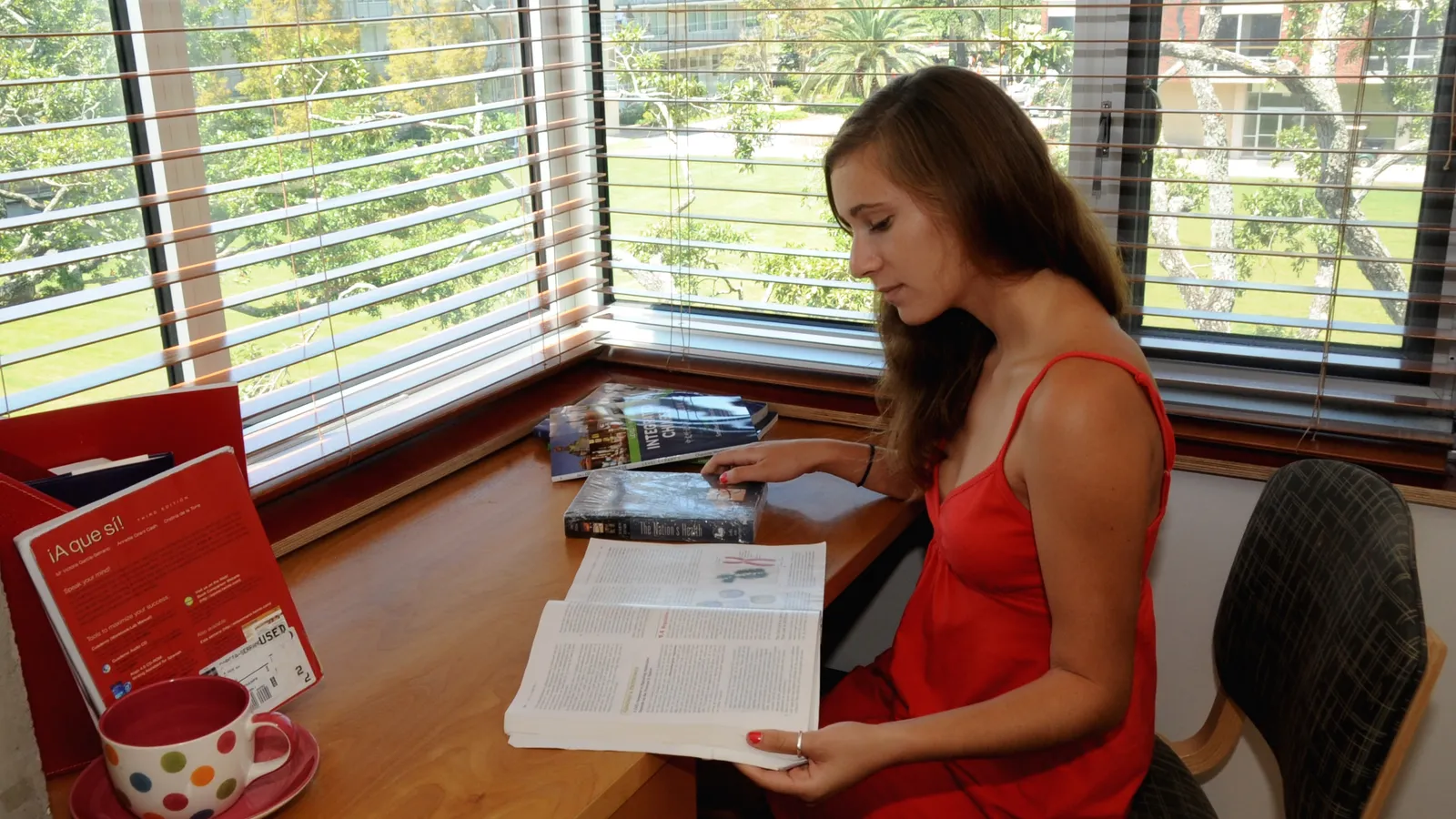 Student reading a textbook at a desk by a window, no phone in sight