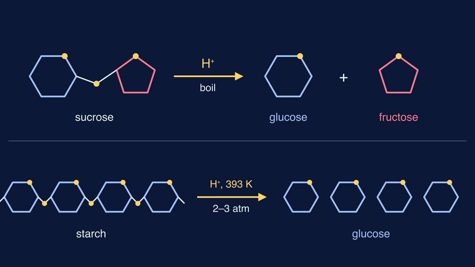 Sucrose splitting into glucose and fructose; starch chain splitting into glucose units