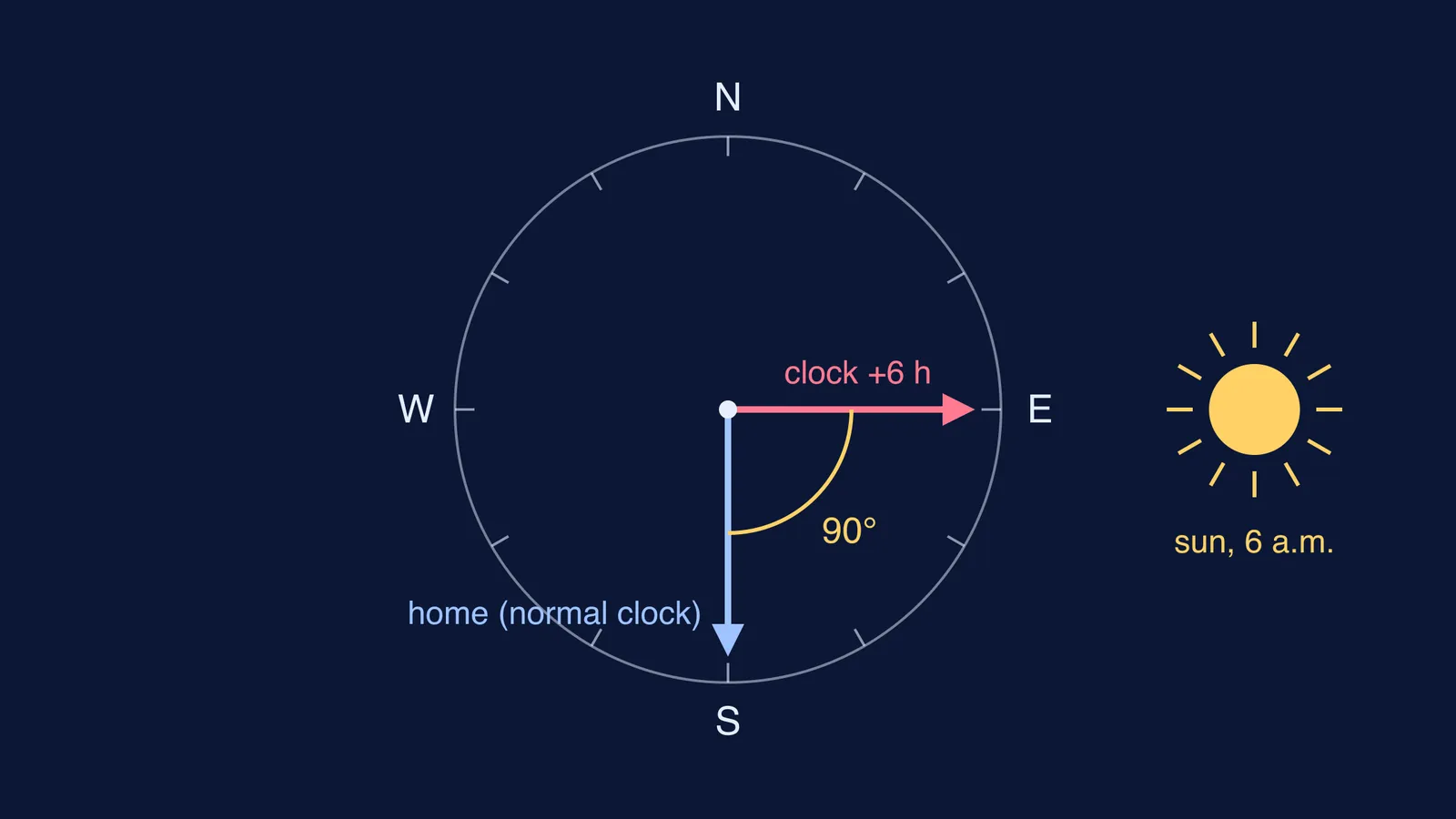 Sun compass diagram: a 6-hour clock shift turns a pigeon's heading 90 degrees
