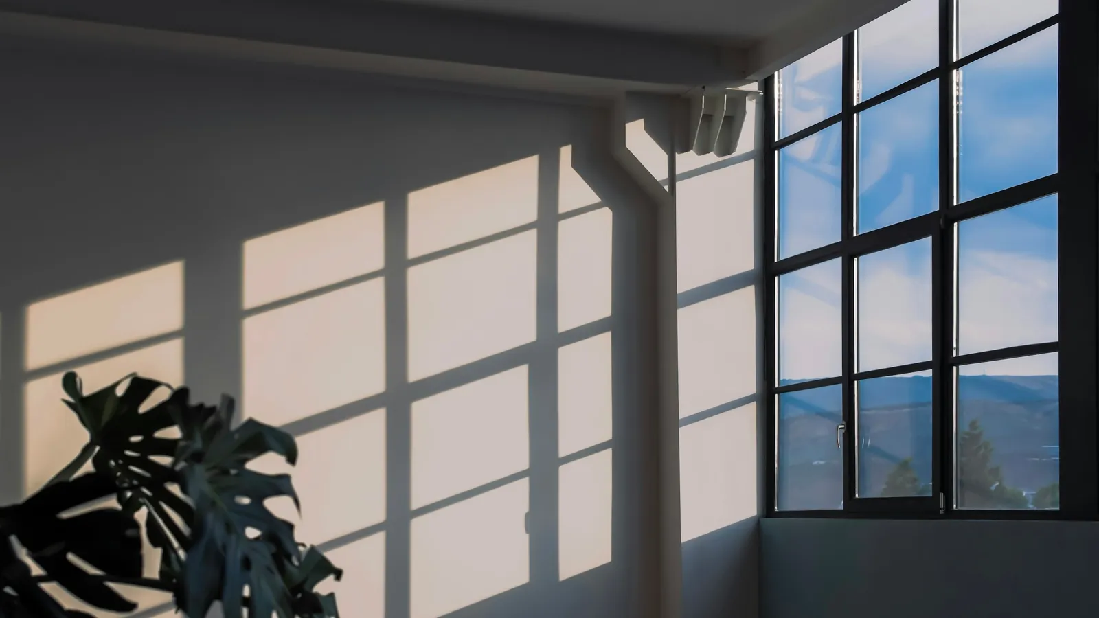 Sunlight pouring through large windows into a room