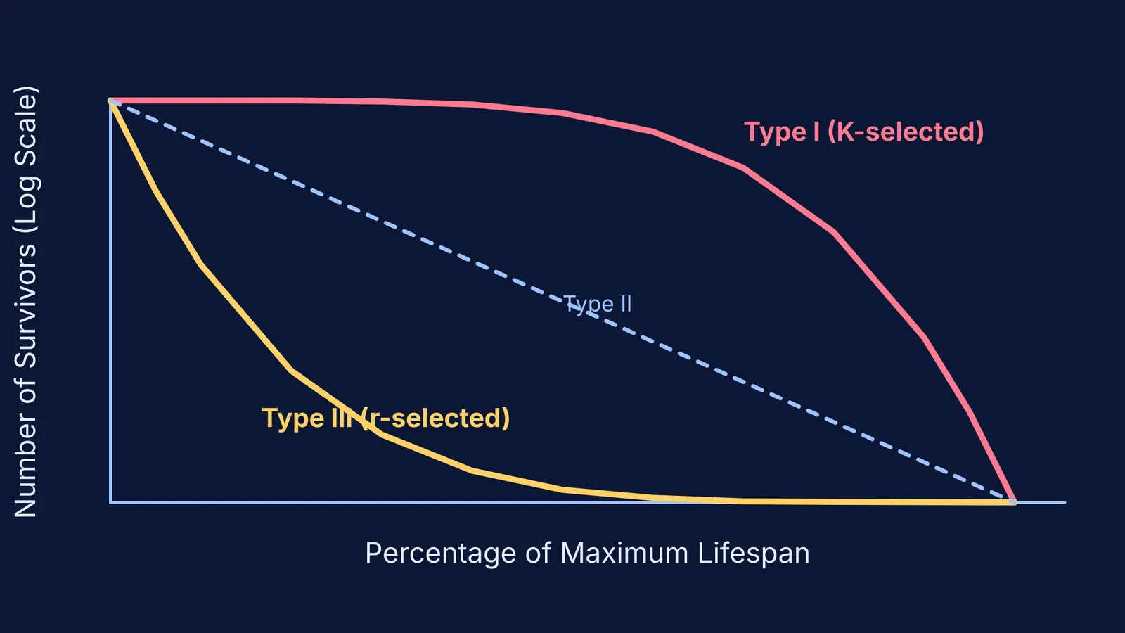 Survivorship curves showing Type I, II, and III