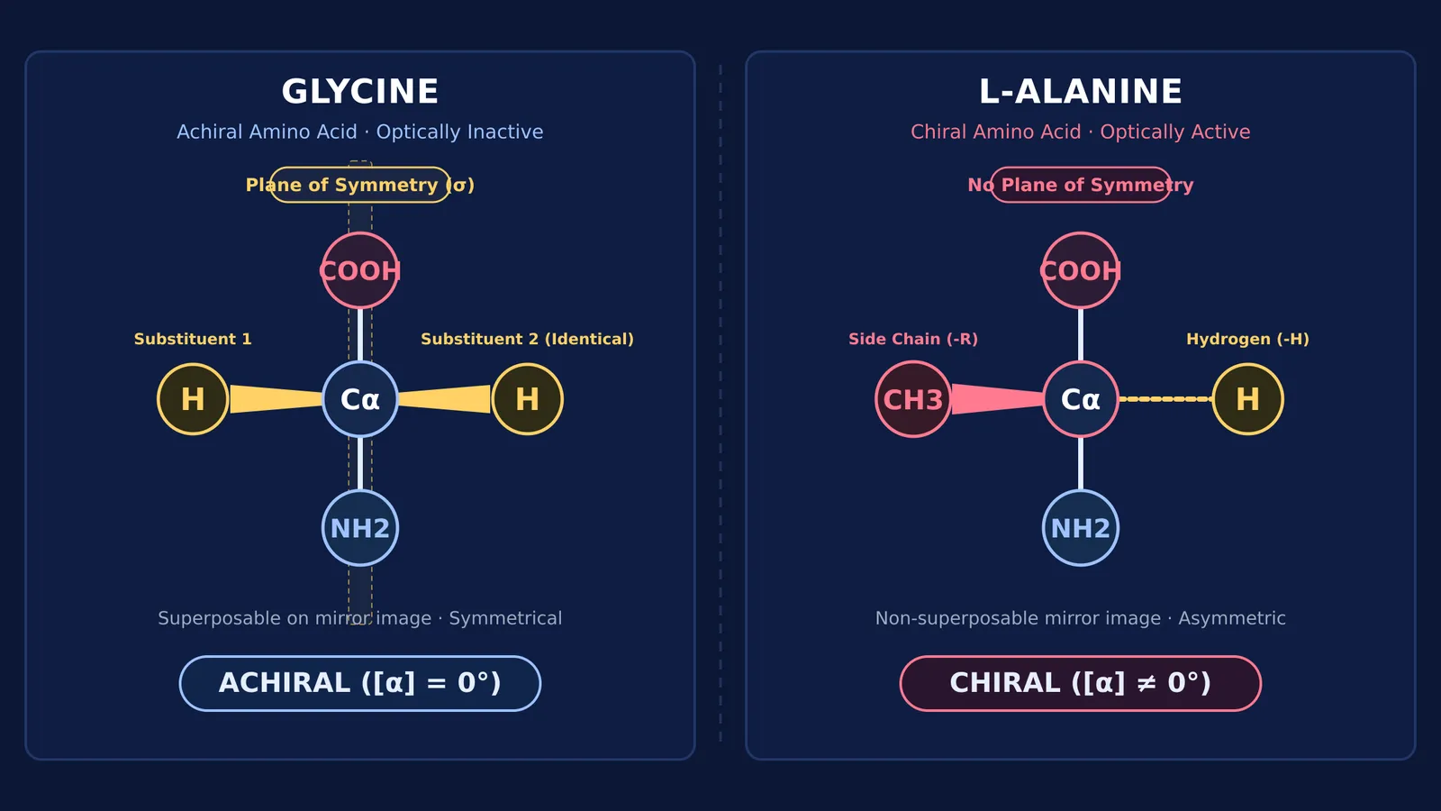 Symmetry comparison of achiral glycine with plane of symmetry against chiral alanine