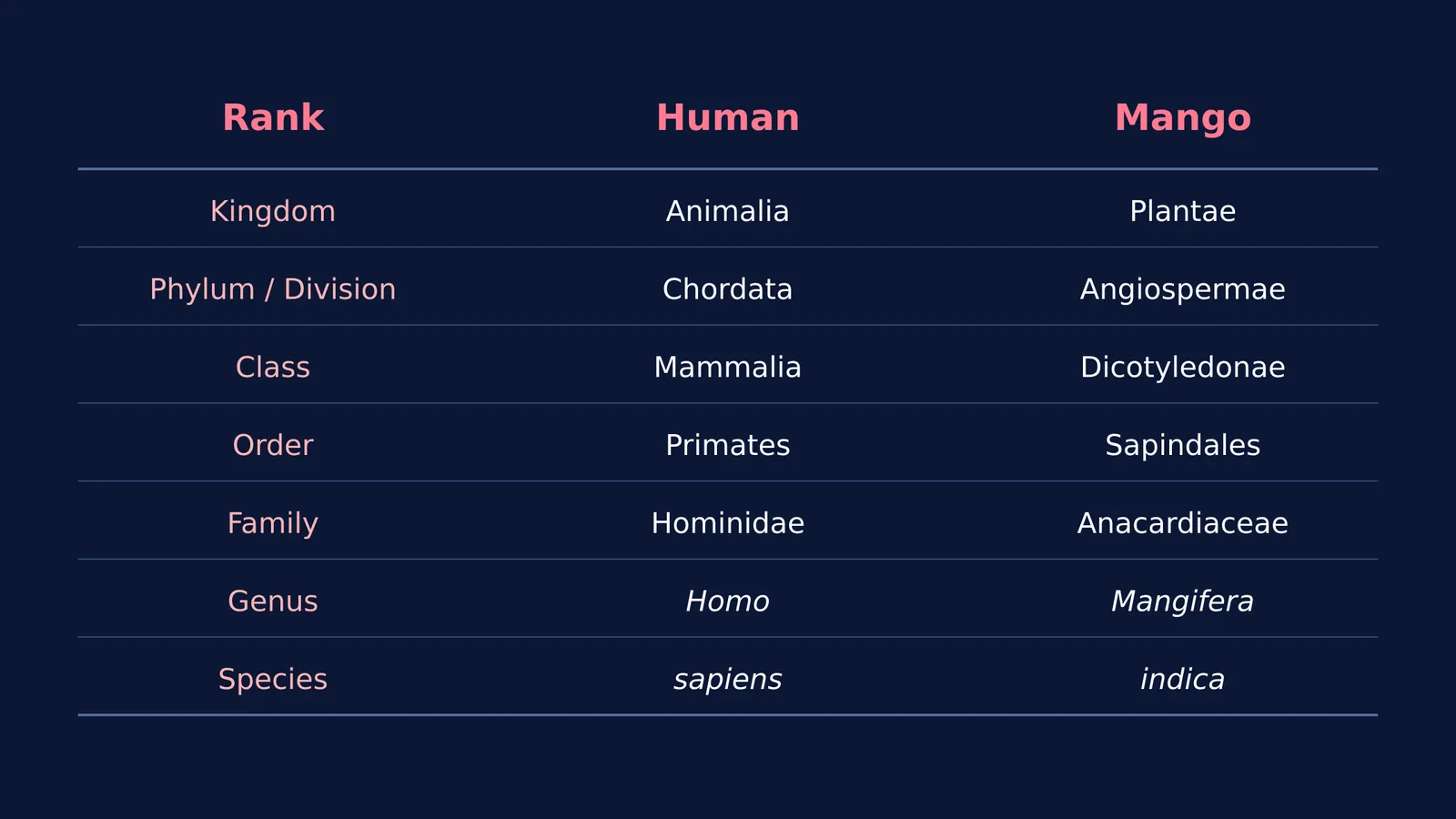 Taxonomic hierarchy table for human and mango showing kingdom to species