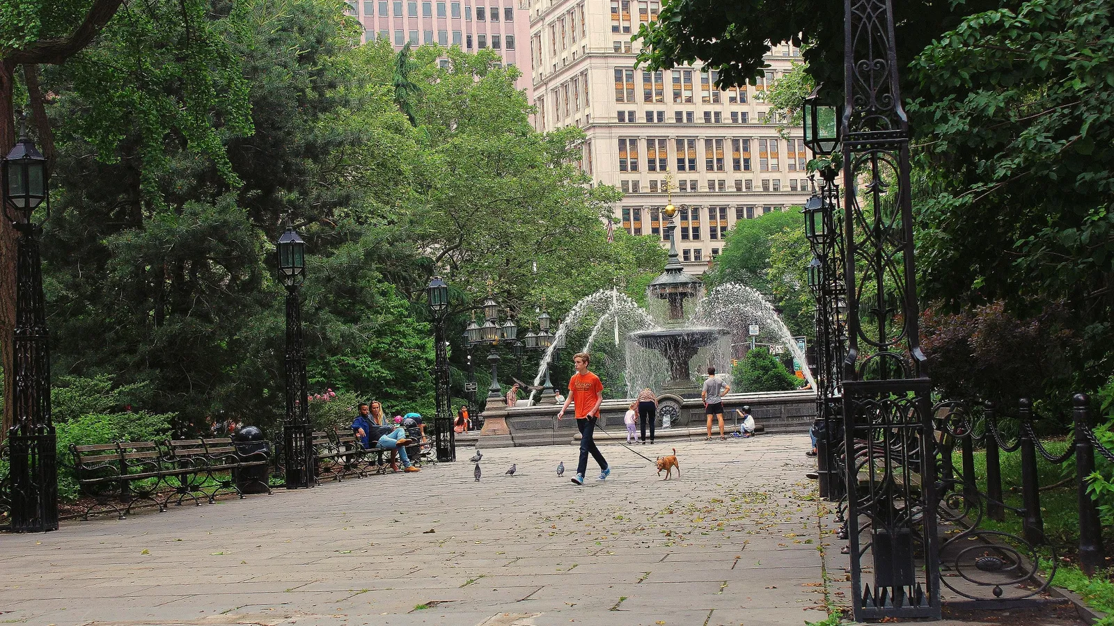 Teenager in an orange T-shirt walking a small brown dog on a lead in a city park