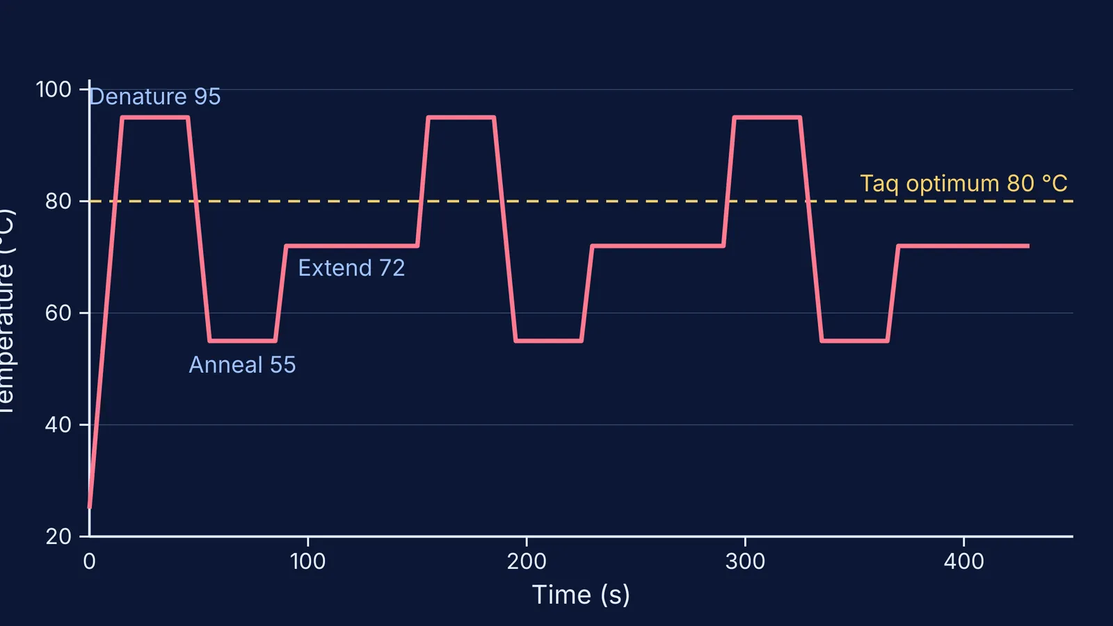 Temperature-time graph of three PCR cycles with Taq's 80 °C optimum marked
