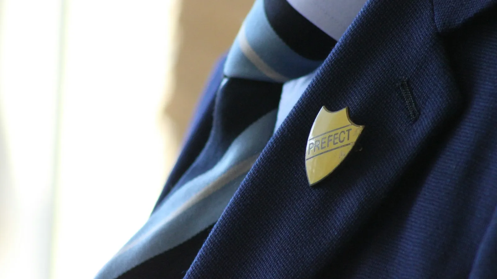 The badge on a navy school blazer, close up