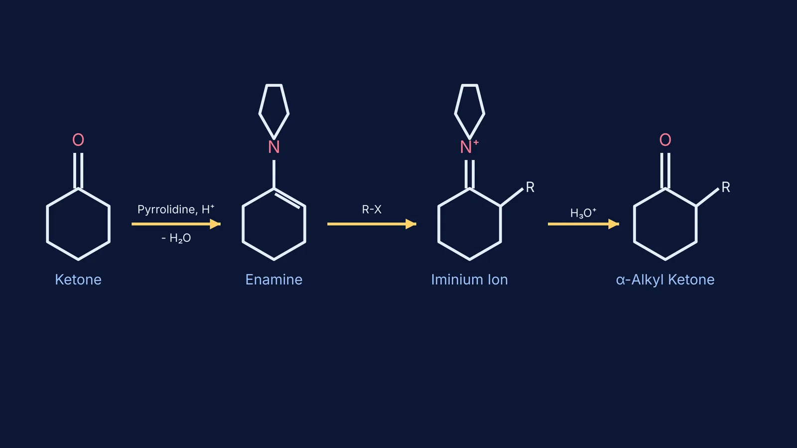 The three steps of Stork enamine alkylation