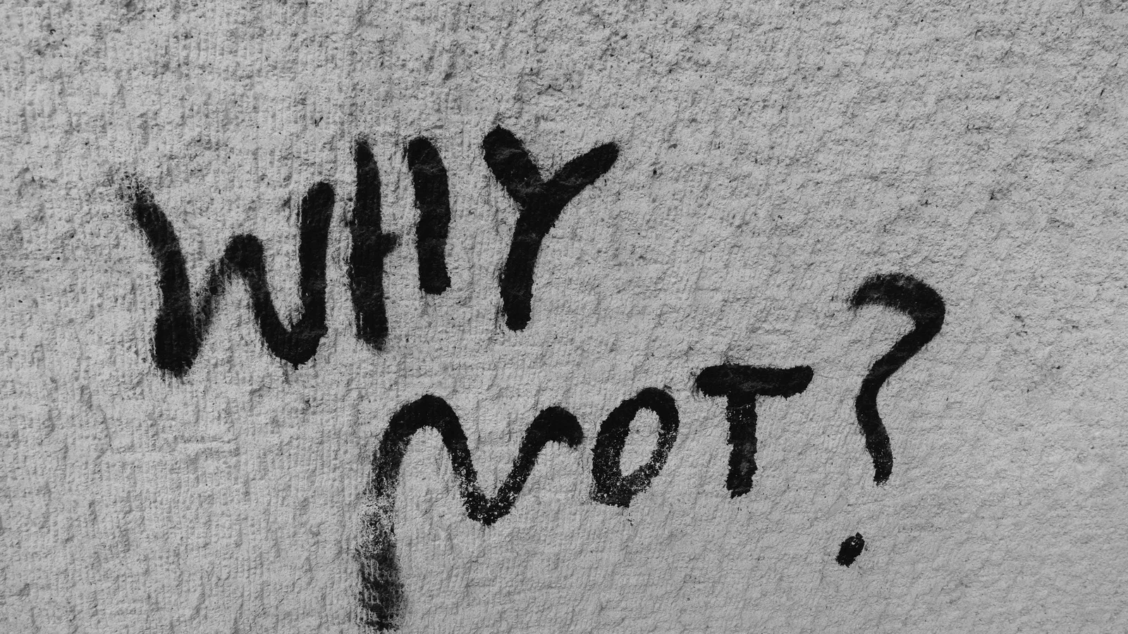 The words why not written on a white wall