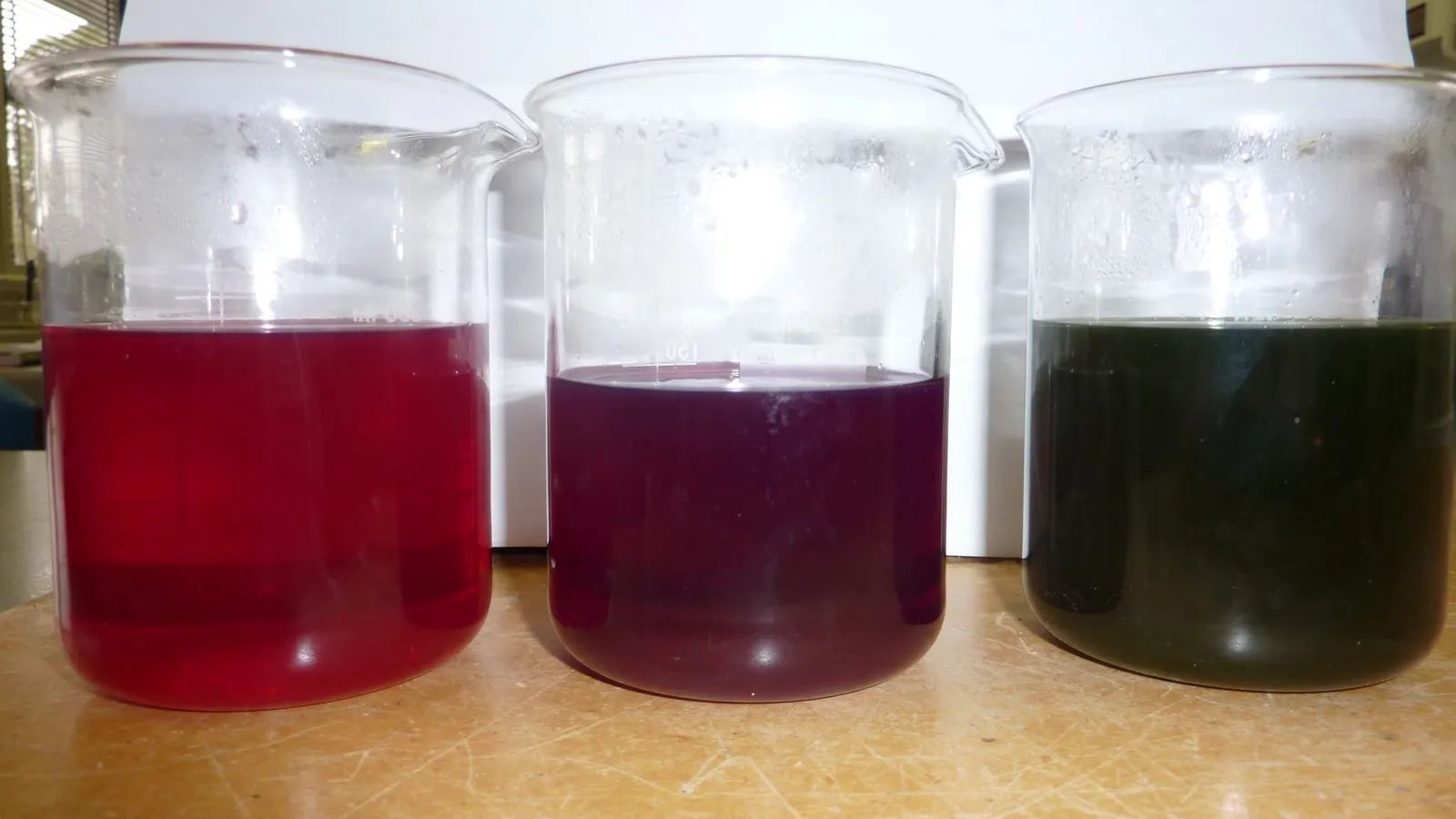 Three beakers of red cabbage indicator coloured red, purple and green