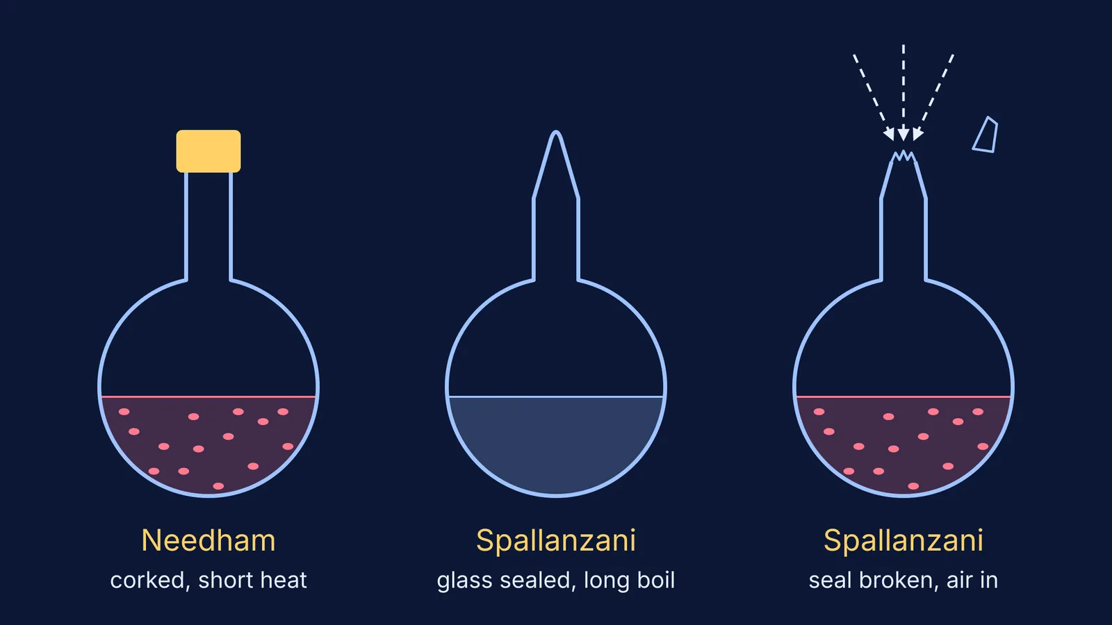 Three broth flasks: corked and cloudy, glass-sealed and clear, seal broken and cloudy