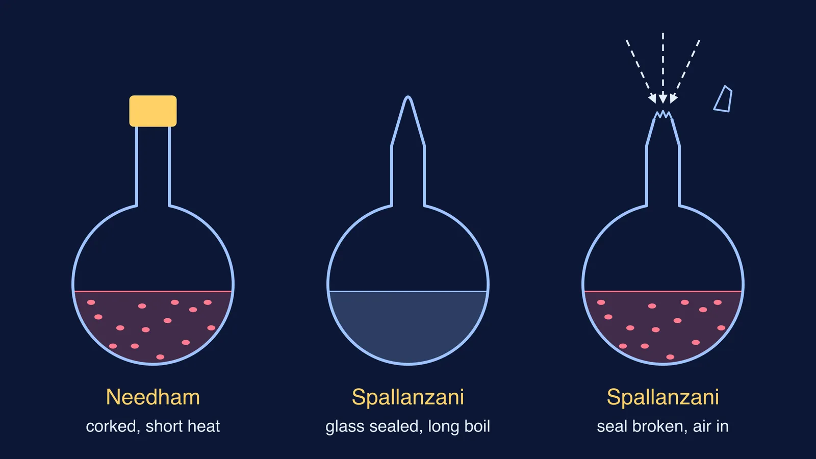 Three broth flasks: corked and cloudy, glass-sealed and clear, seal broken and cloudy