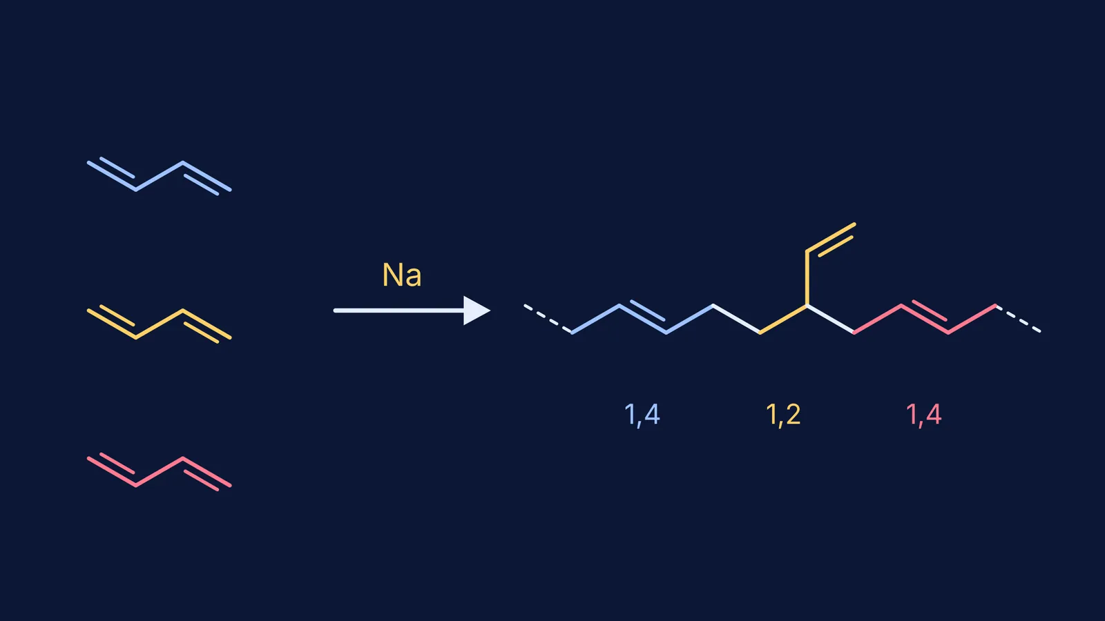 Three butadiene molecules joining into a polybutadiene chain with 1,4 and 1,2 units