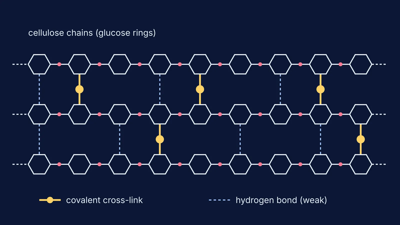 Three cellulose chains joined by dashed hydrogen bonds and solid cross-links