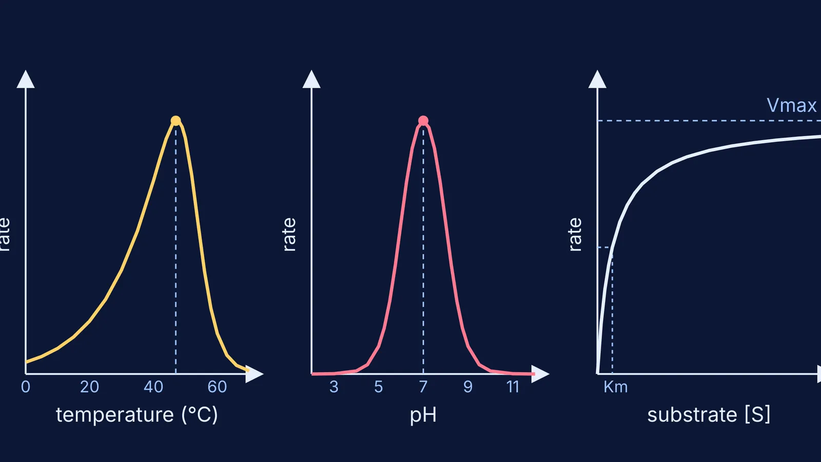 Three enzyme rate curves against temperature, pH and substrate concentration