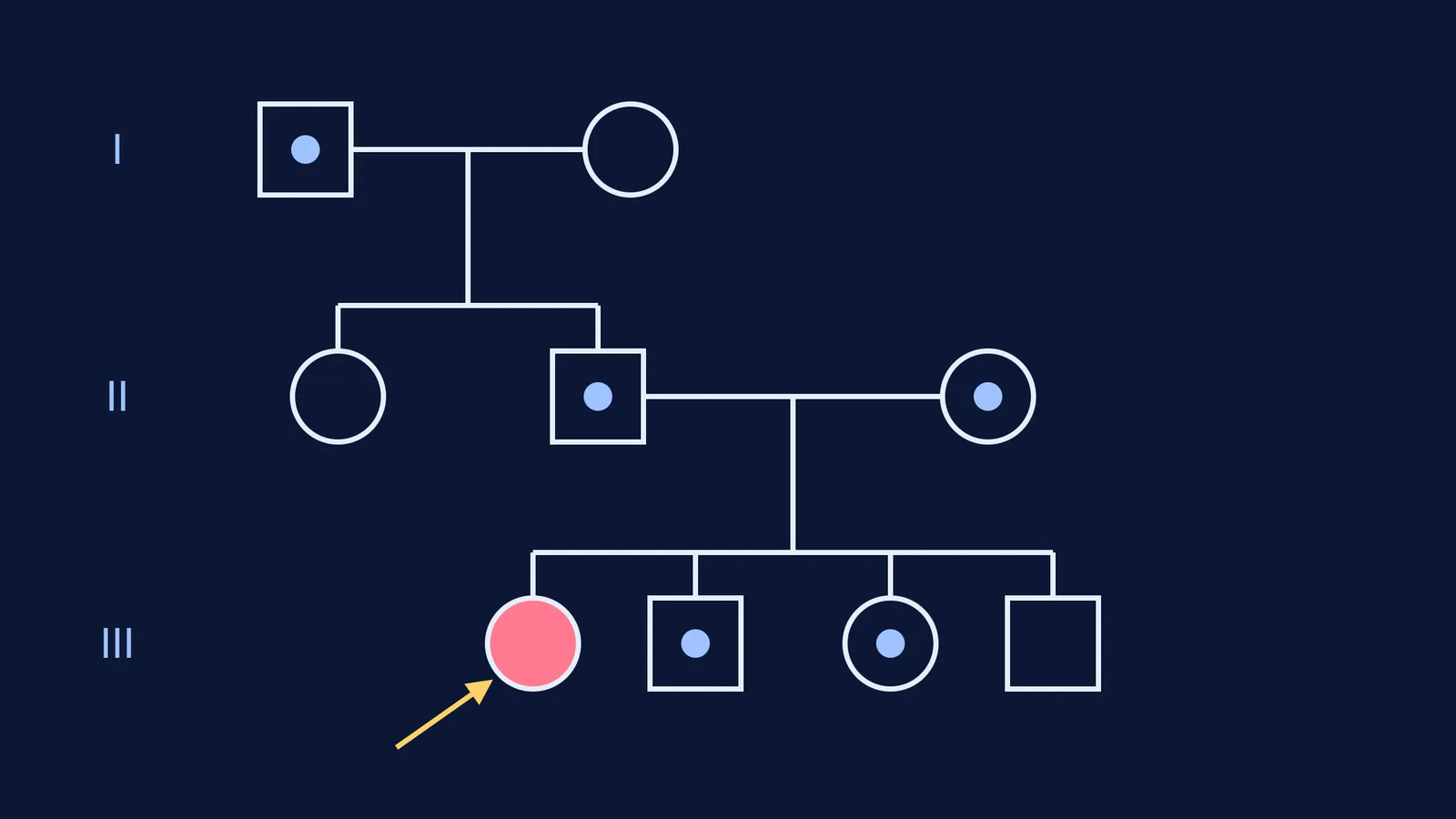 Three-generation family tree showing carrier parents and one affected child
