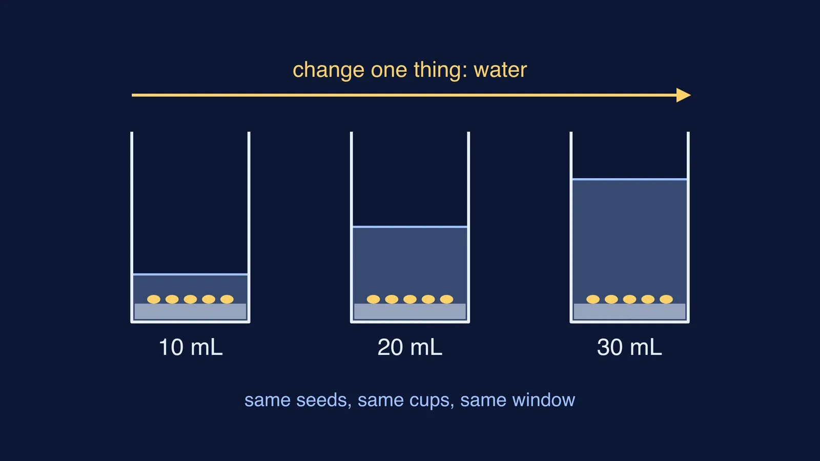Three identical cups of moong seeds holding 10, 20 and 30 mL of water