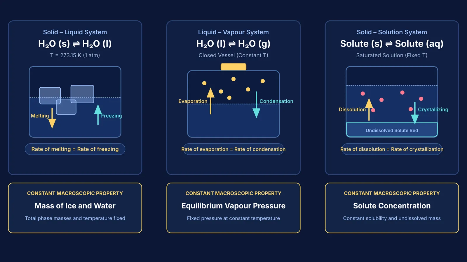 Three physical equilibria showing dynamic rate balance and constant macroscopic properties