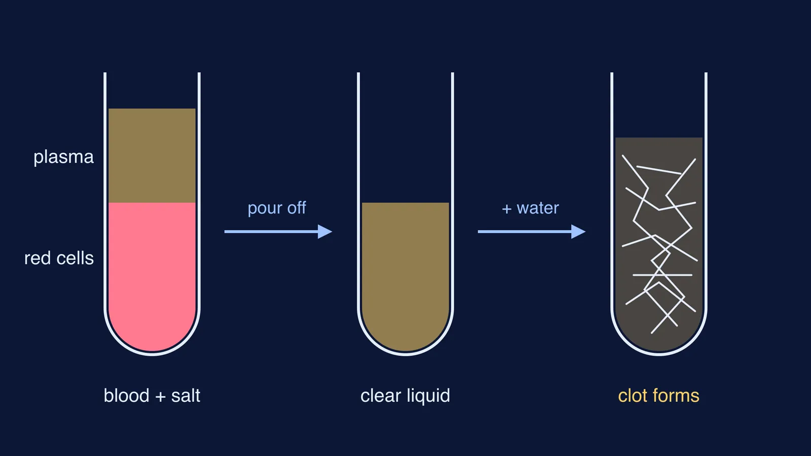 Three tubes: salted blood settles, plasma is poured off, water makes it clot