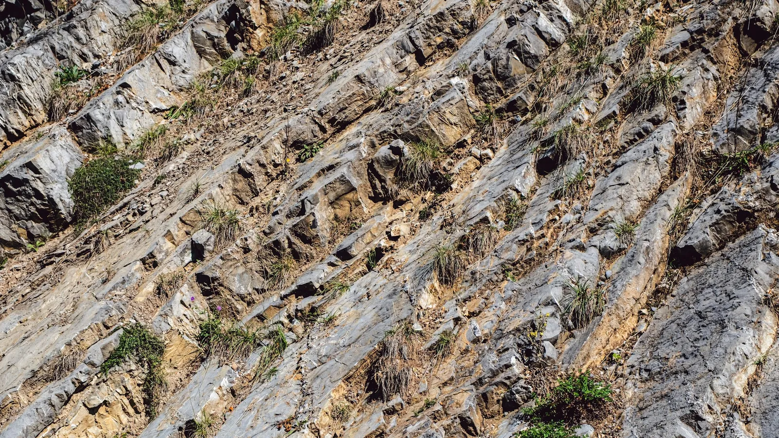 Tilted layers of rock strata on a hillside