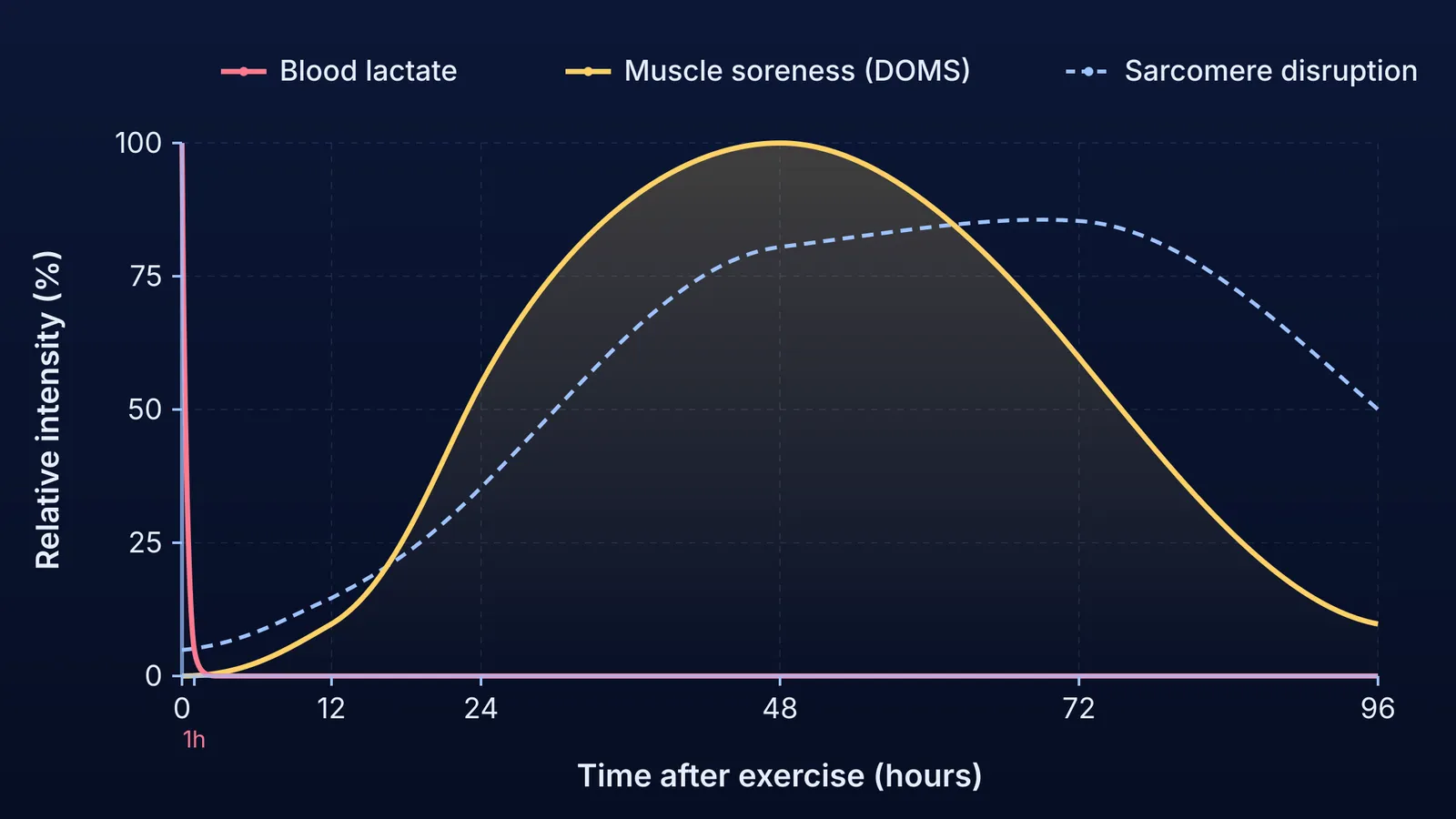 Time course of blood lactate clearance versus delayed onset muscle soreness and sarcomere disruption