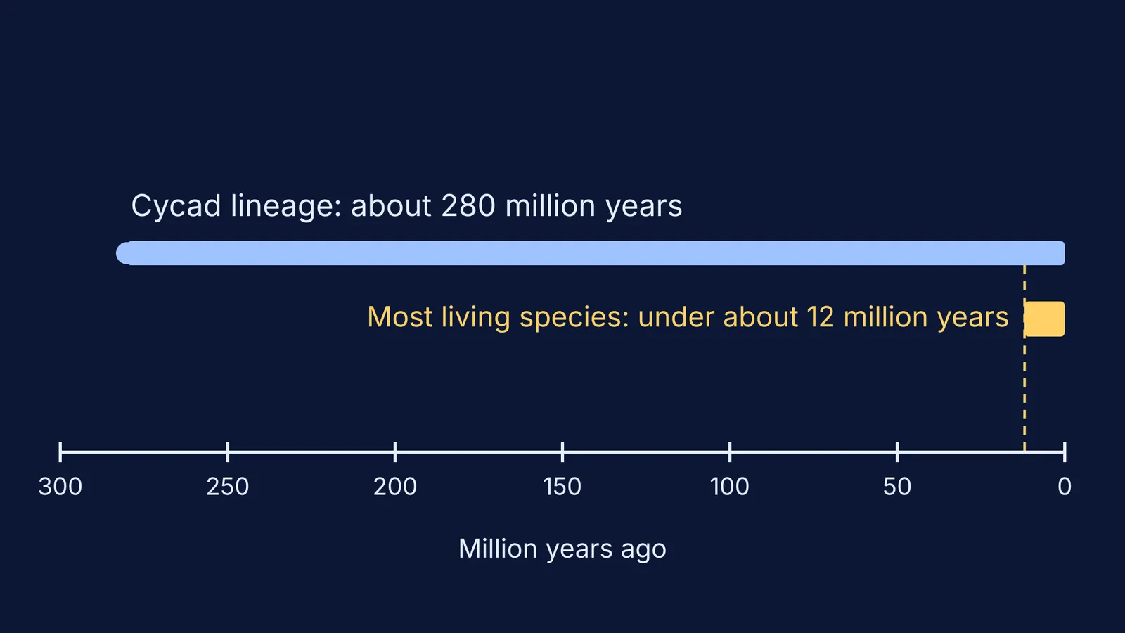 Timeline: cycad lineage spans 280 million years, most living species under 12 million
