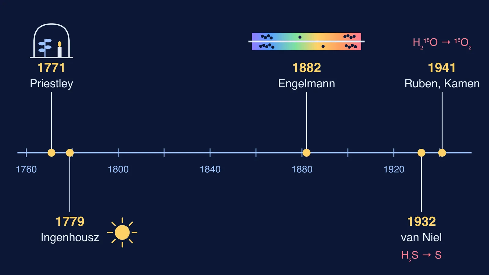 Timeline from Priestley's bell jar in 1771 to the 1941 heavy-oxygen study