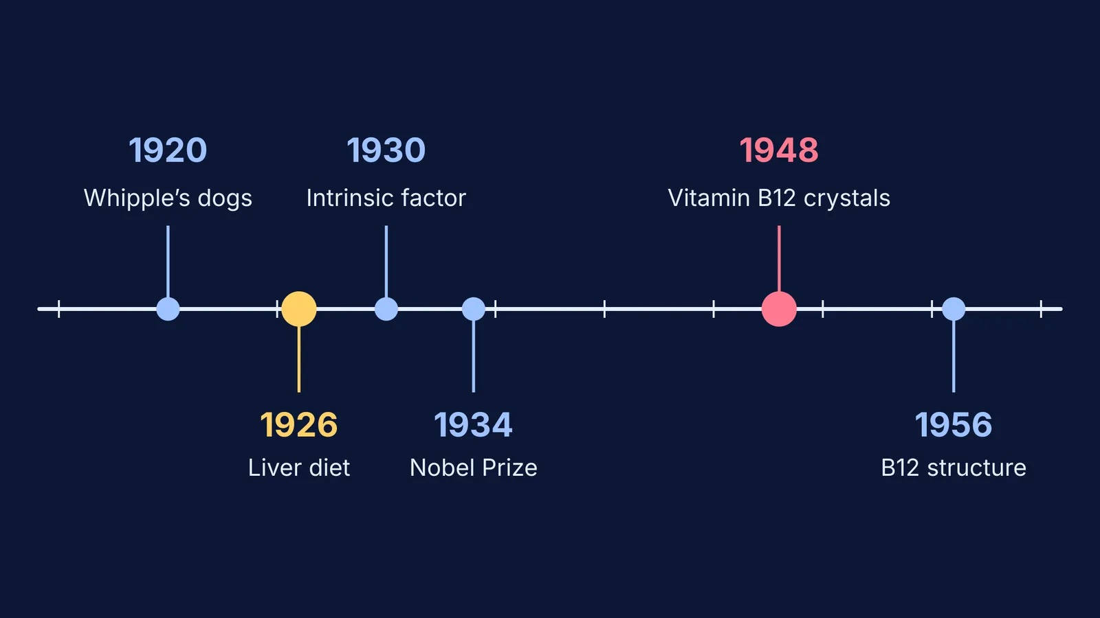 Timeline from Whipple's 1920 dog experiments to the 1956 vitamin B12 structure