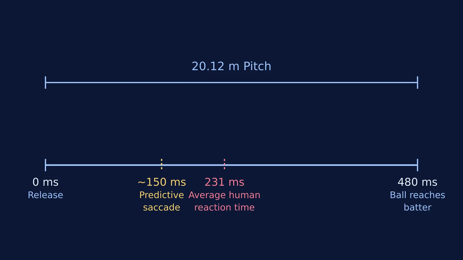 Timeline of a 150 km/h cricket ball showing predictive saccade timing and average human reaction time.