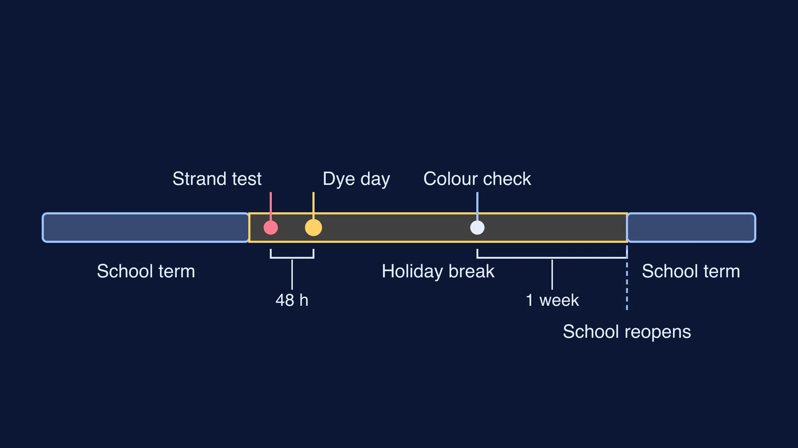 Timeline of a school holiday with strand test, dye day and colour check