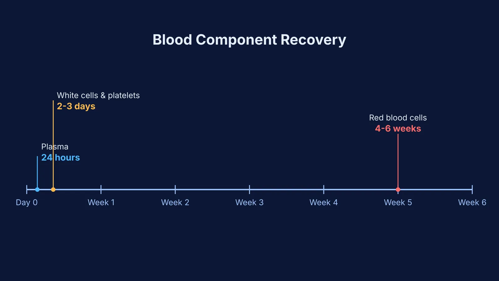 Timeline of blood component recovery scaled in days and weeks.