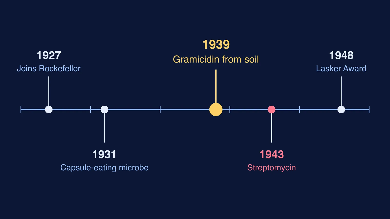 Timeline of Dubos's soil antibiotic work and its legacy, 1927 to 1948