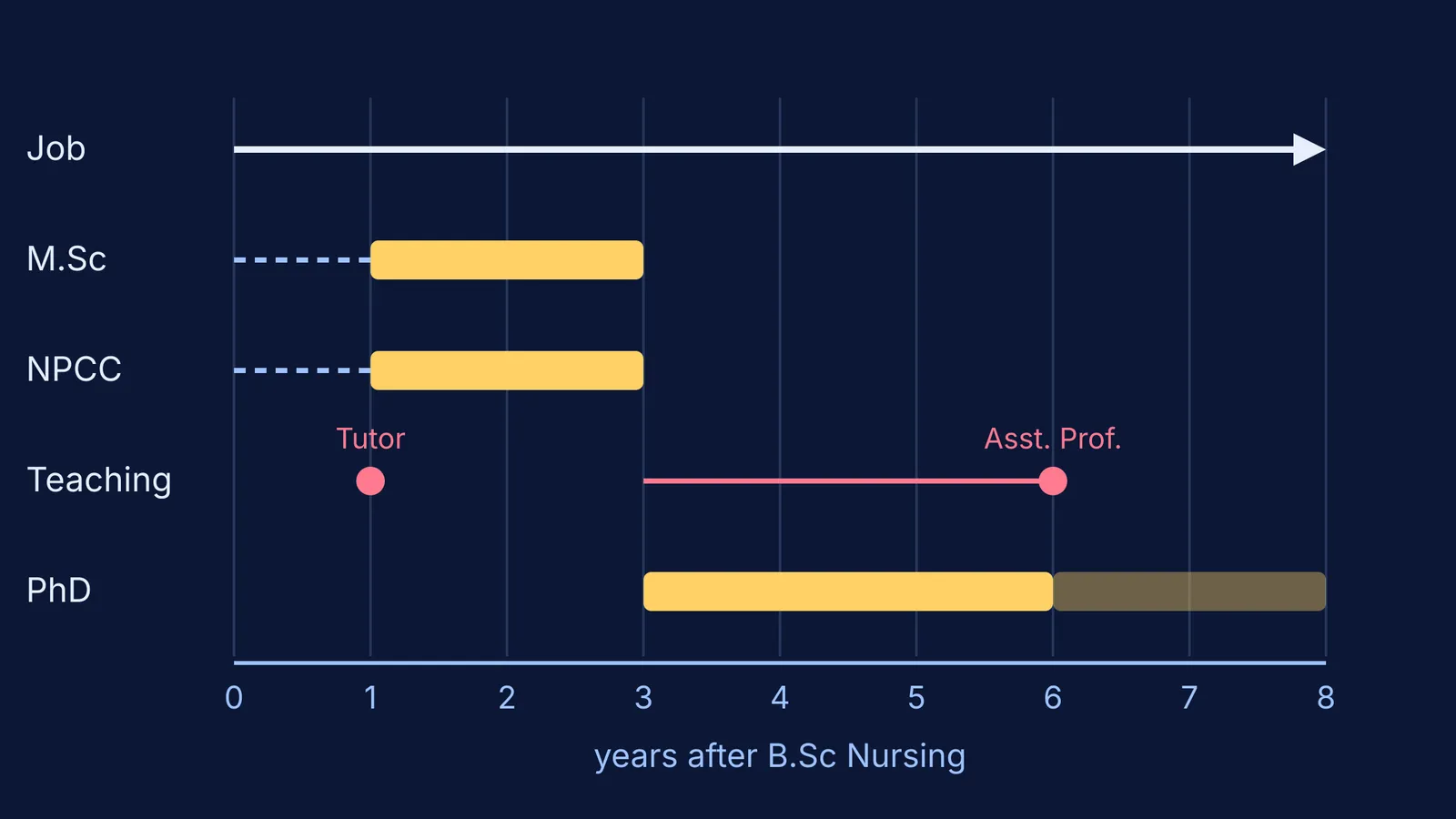Timeline of nursing routes over eight years after a BSc Nursing degree