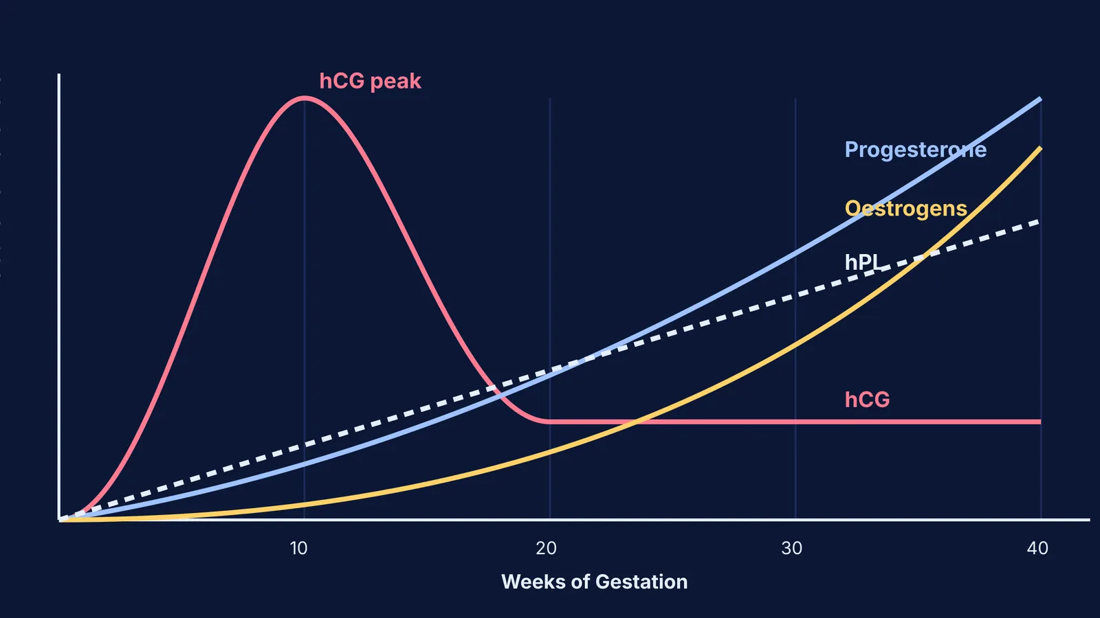 Timeline of placental hormones during pregnancy