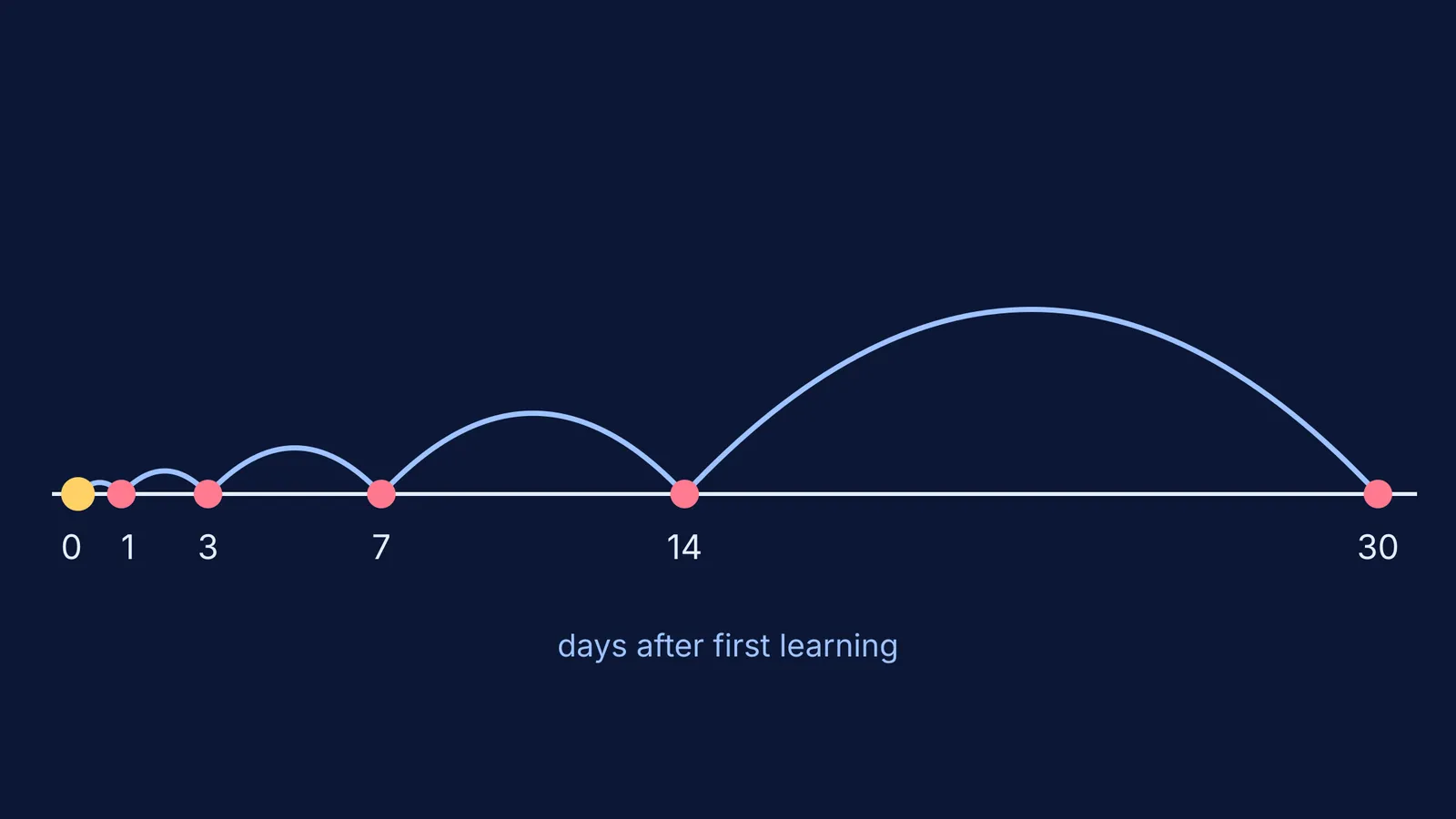 Timeline of spaced definition checks on days 1, 3, 7, 14 and 30