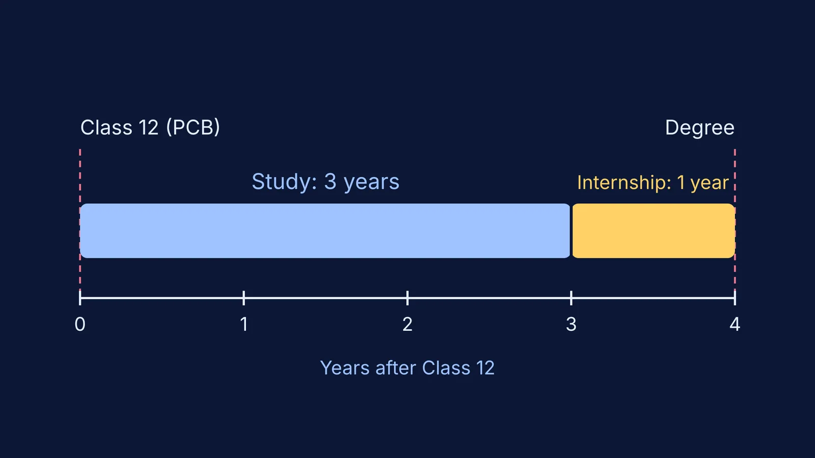 Timeline of the four-year respiratory technology degree: three years study, one year internship