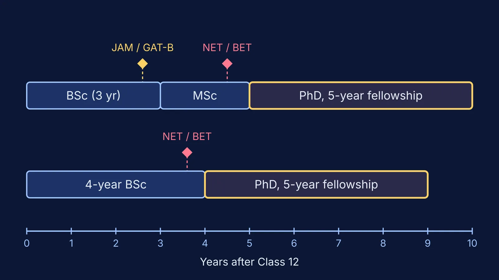 Timeline of two routes from BSc to an immunology PhD with fellowship