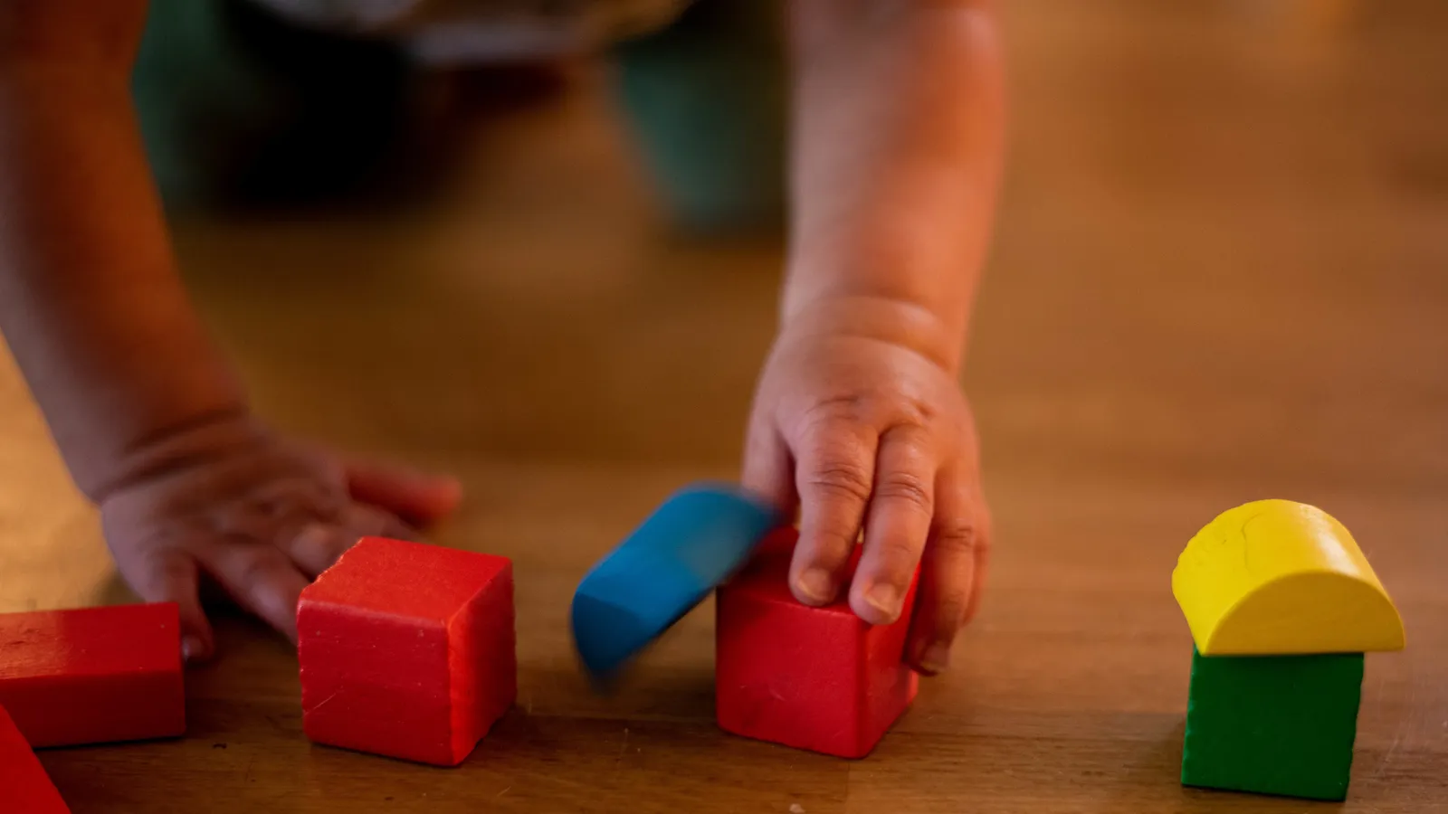 Toddler's hands arranging red, blue, yellow and green wooden blocks on a floor