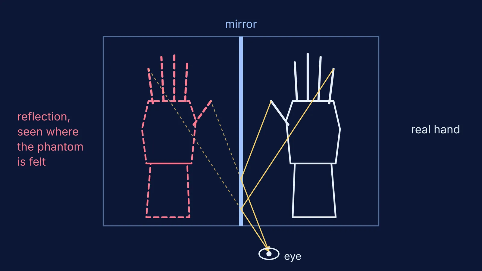 Top view of a mirror box reflecting a real hand onto the phantom's position