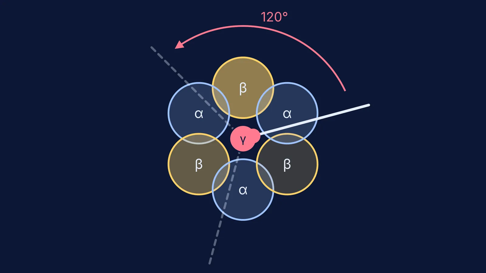 Top view of ATP synthase F1 ring with central gamma shaft rotating in 120-degree steps