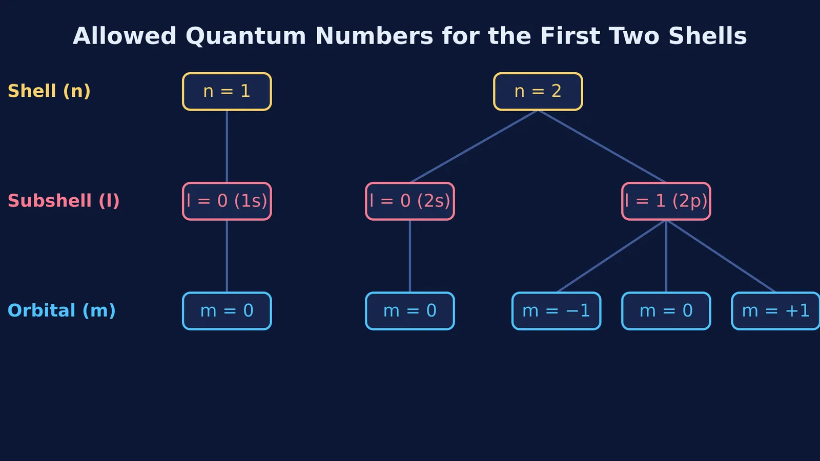 Tree diagram of allowed quantum numbers n, l, and m for the first two shells