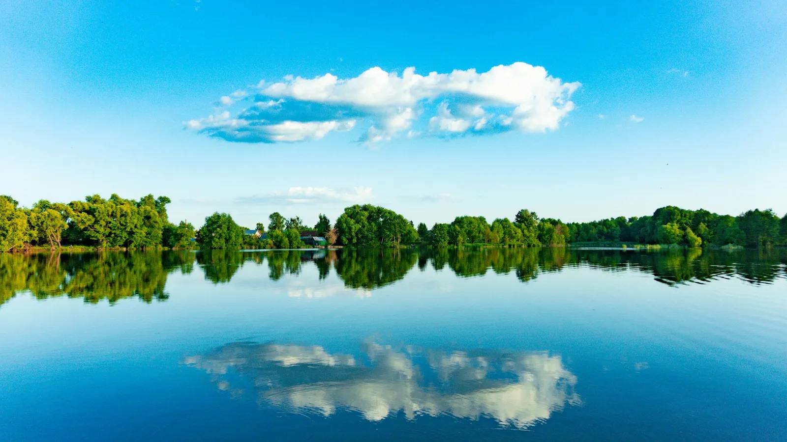 Trees and clouds mirrored in a still lake