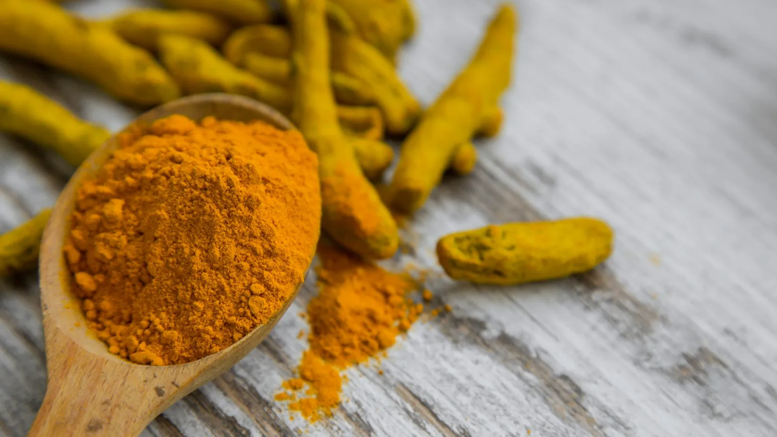 Turmeric roots and ground turmeric powder in a wooden spoon