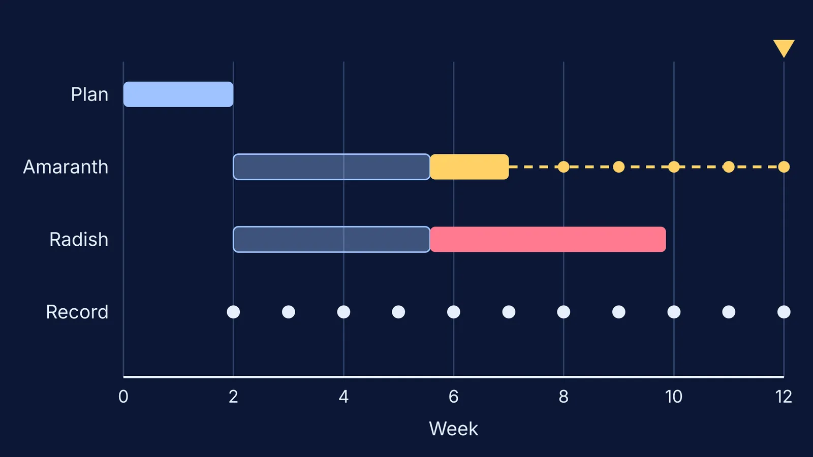 Twelve-week timeline of planning, amaranth and radish growth, harvests and weekly records
