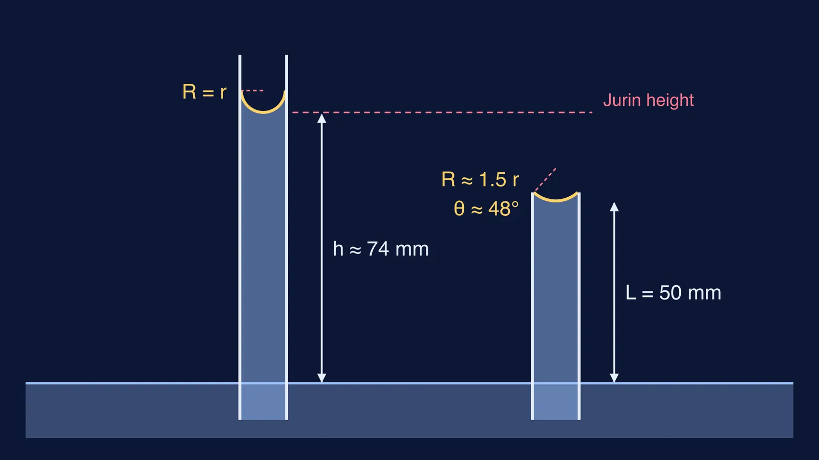 Two capillary tubes in water: tall tube with round meniscus, short tube with flatter meniscus