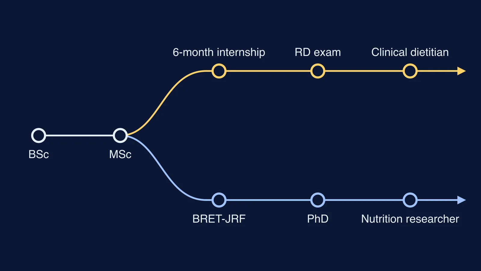 Two career routes splitting after an MSc: clinical dietitian and nutrition researcher