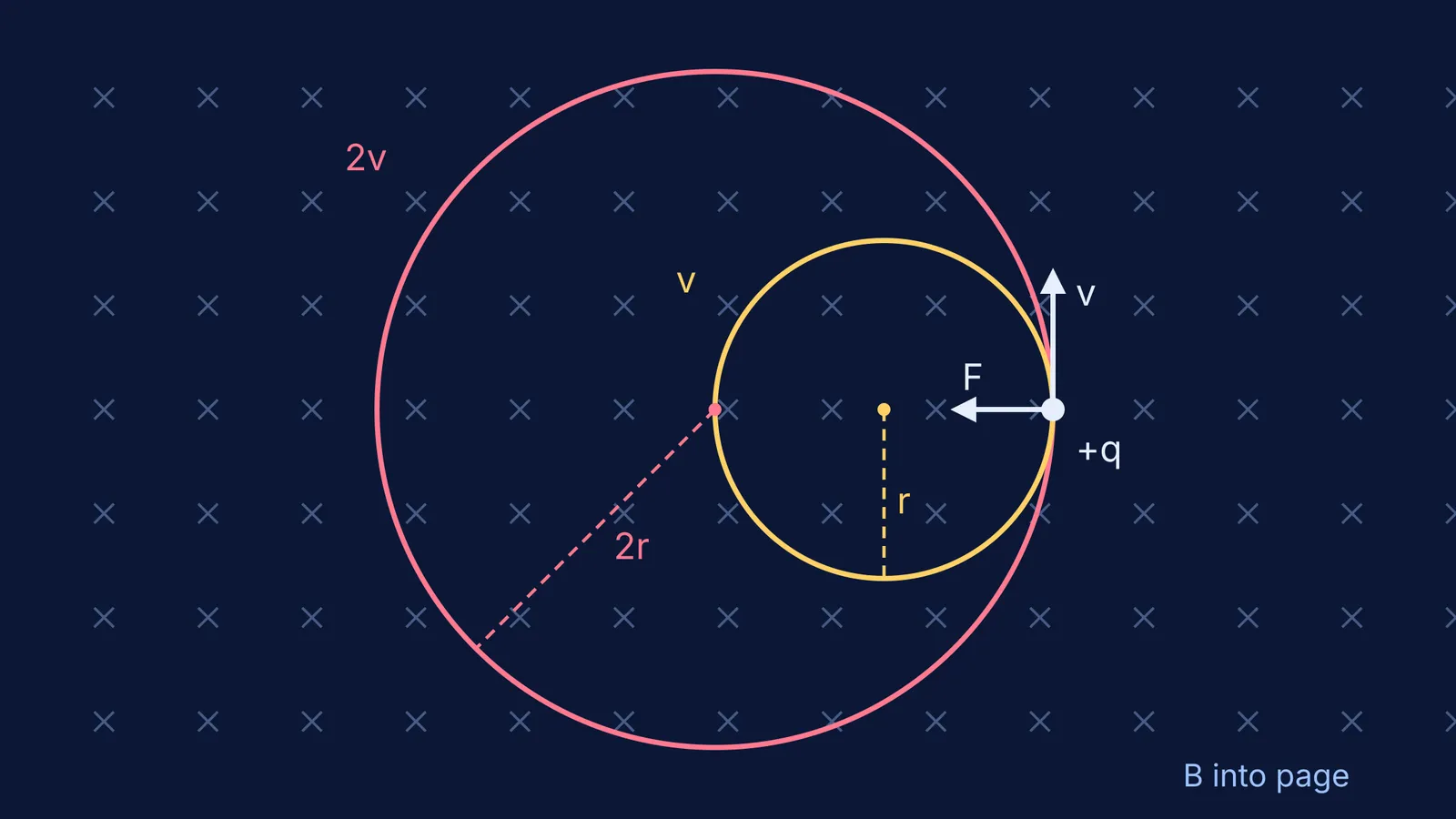 Two circular paths of a positive charge in a magnetic field, radii r and 2r