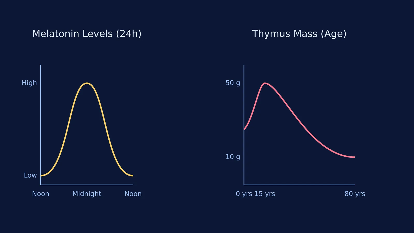 Two graphs showing melatonin peaking at midnight and thymus mass declining with age.