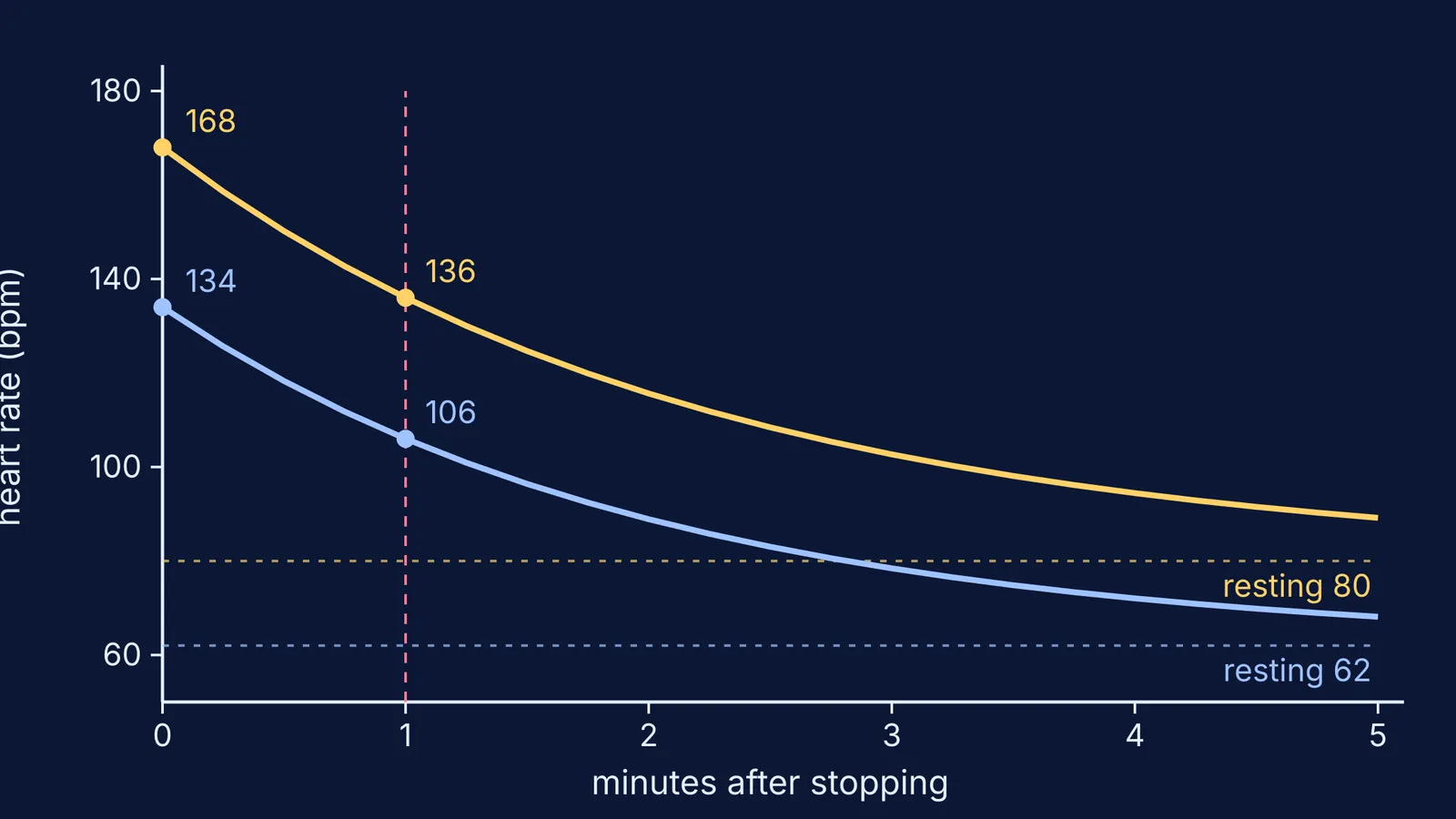 Two heart rate recovery curves falling quickly then levelling towards resting lines