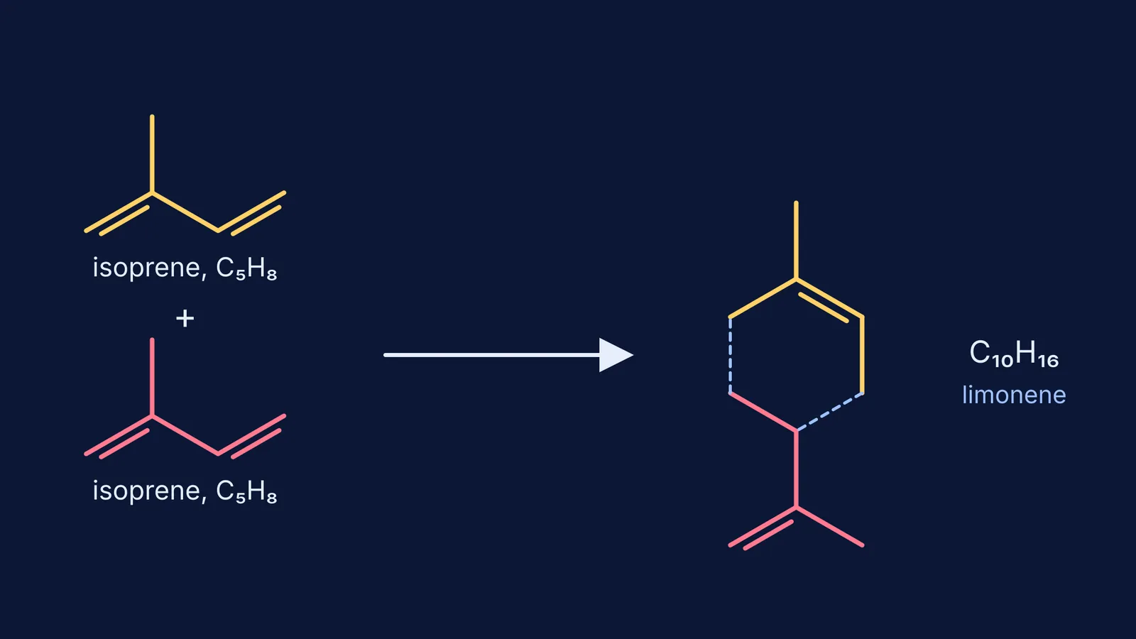 Two isoprene units joining head-to-tail to form the limonene skeleton
