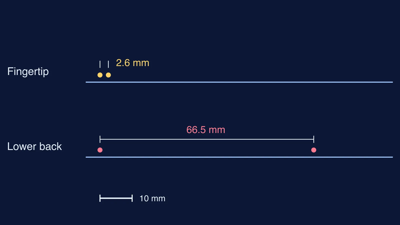Two-point touch thresholds drawn to scale: fingertip 2.6 mm, lower back 66.5 mm